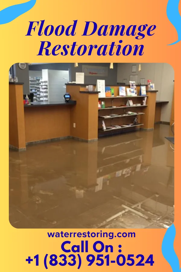 Flood Damage Restoration in Snead, AL