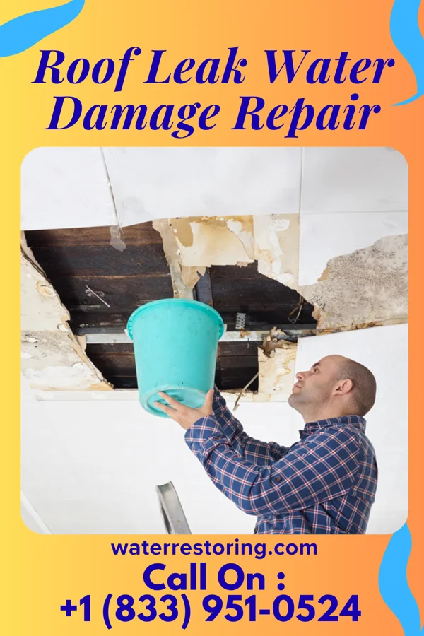 Roof Leak Water Damage Repair in Snead, AL